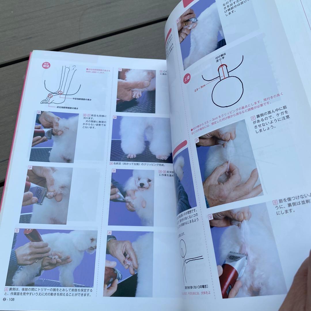 Professional Technique for Best Trimming