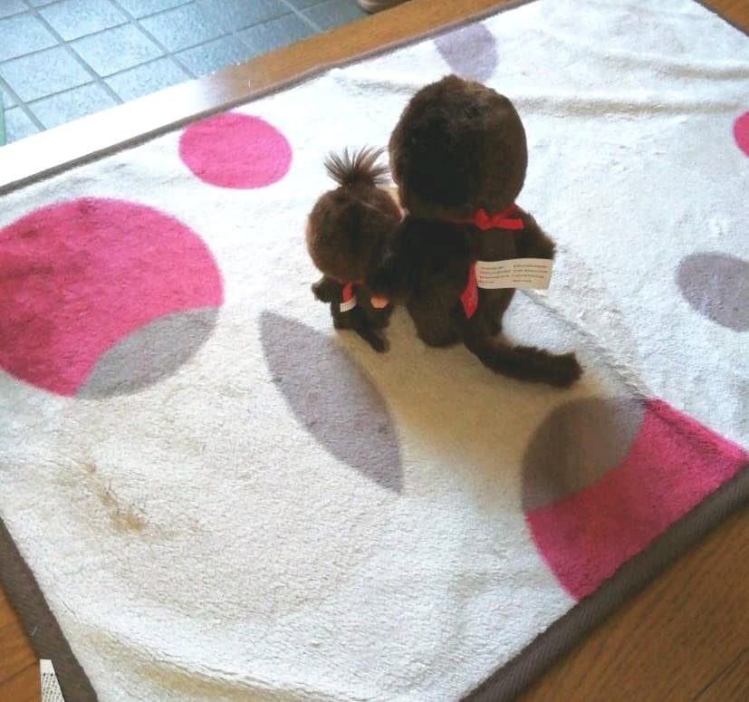 マイチッチちゃん お直し進捗報告♫ - メルカリ