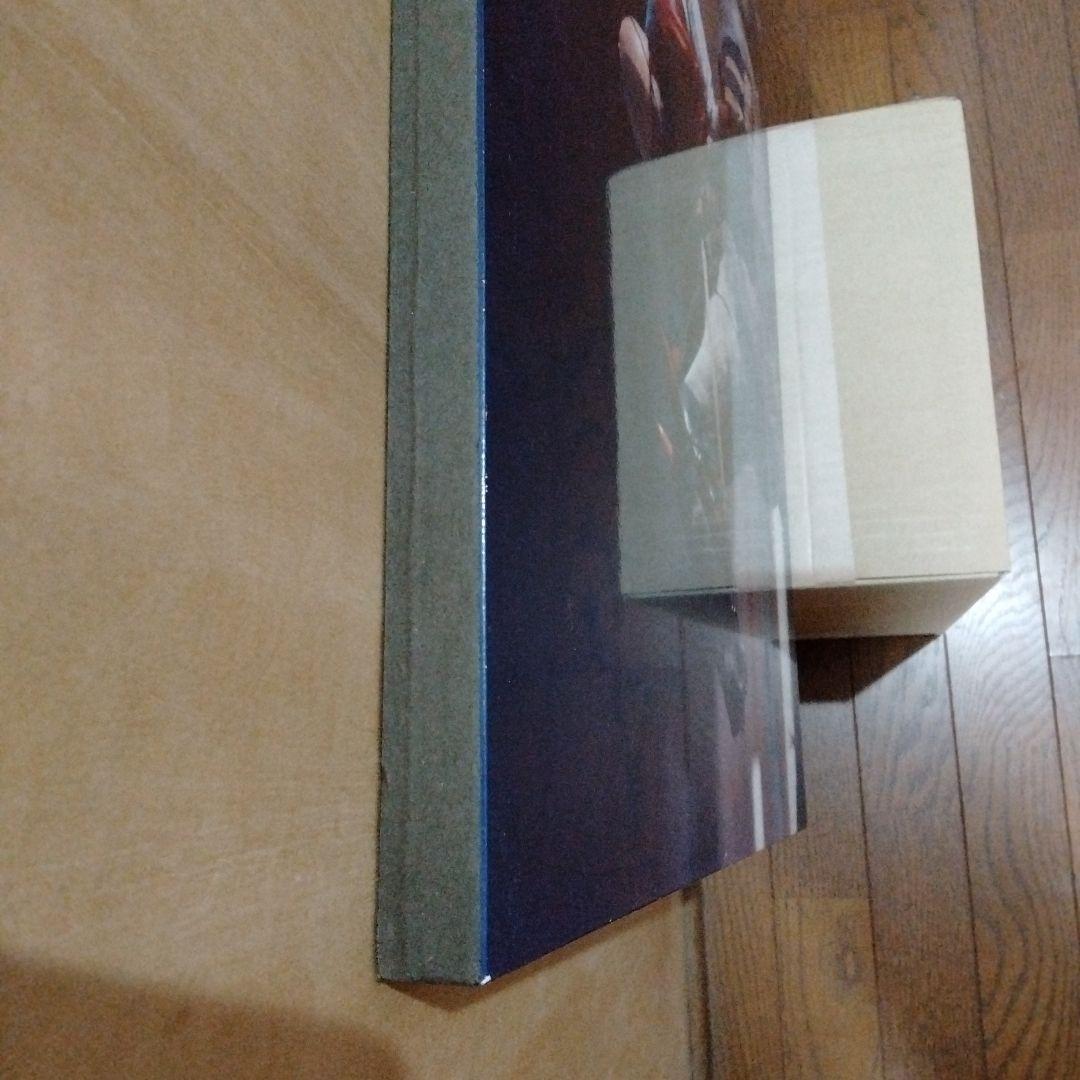 稲妻2世芦毛タマモクロス写真パネル（1988年12月25日中山有馬