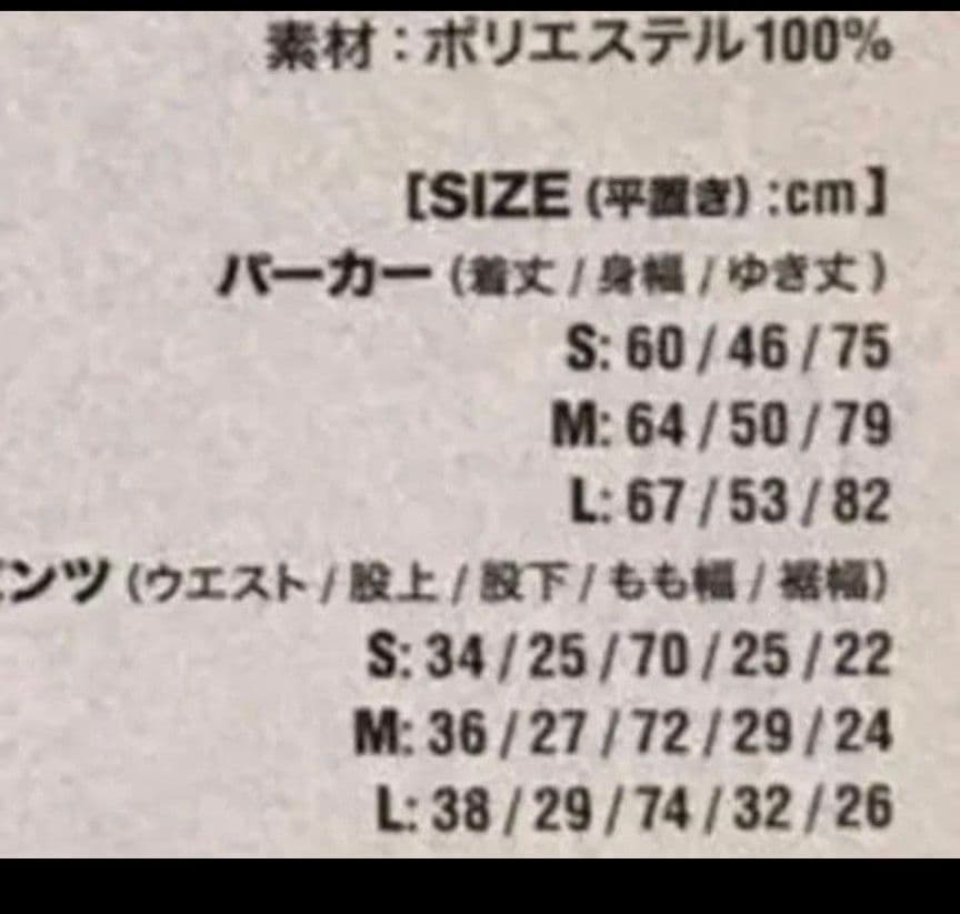 VAMPS VAMPADDICT限定 ベロア ルームウェア HYDE 上下セット