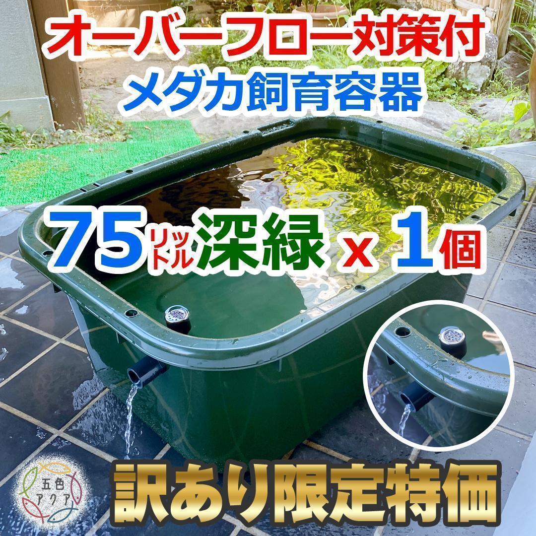 訳あり特価④】メダカ飼育ケース 75㍑深緑x1個 オーバーフロー 金魚