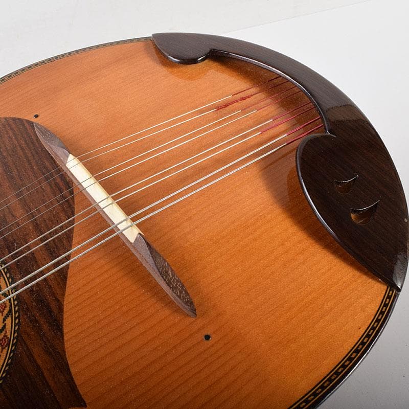 Rio　スズキ　マンドリン　鼈甲製ピック・ハードケース付　V　R7789C