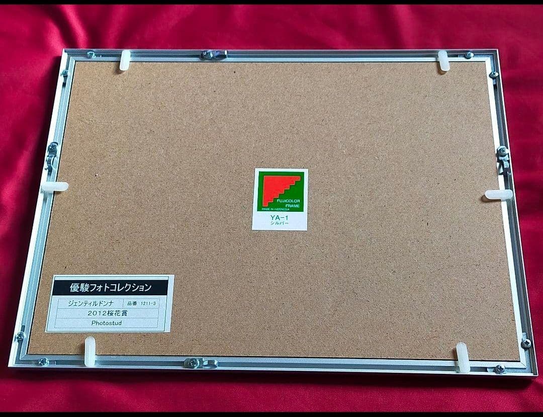 ①◇ 競馬 JRA ◇ ジェンティルドンナ ◇ 1冠目 桜花賞 ◇ フォト