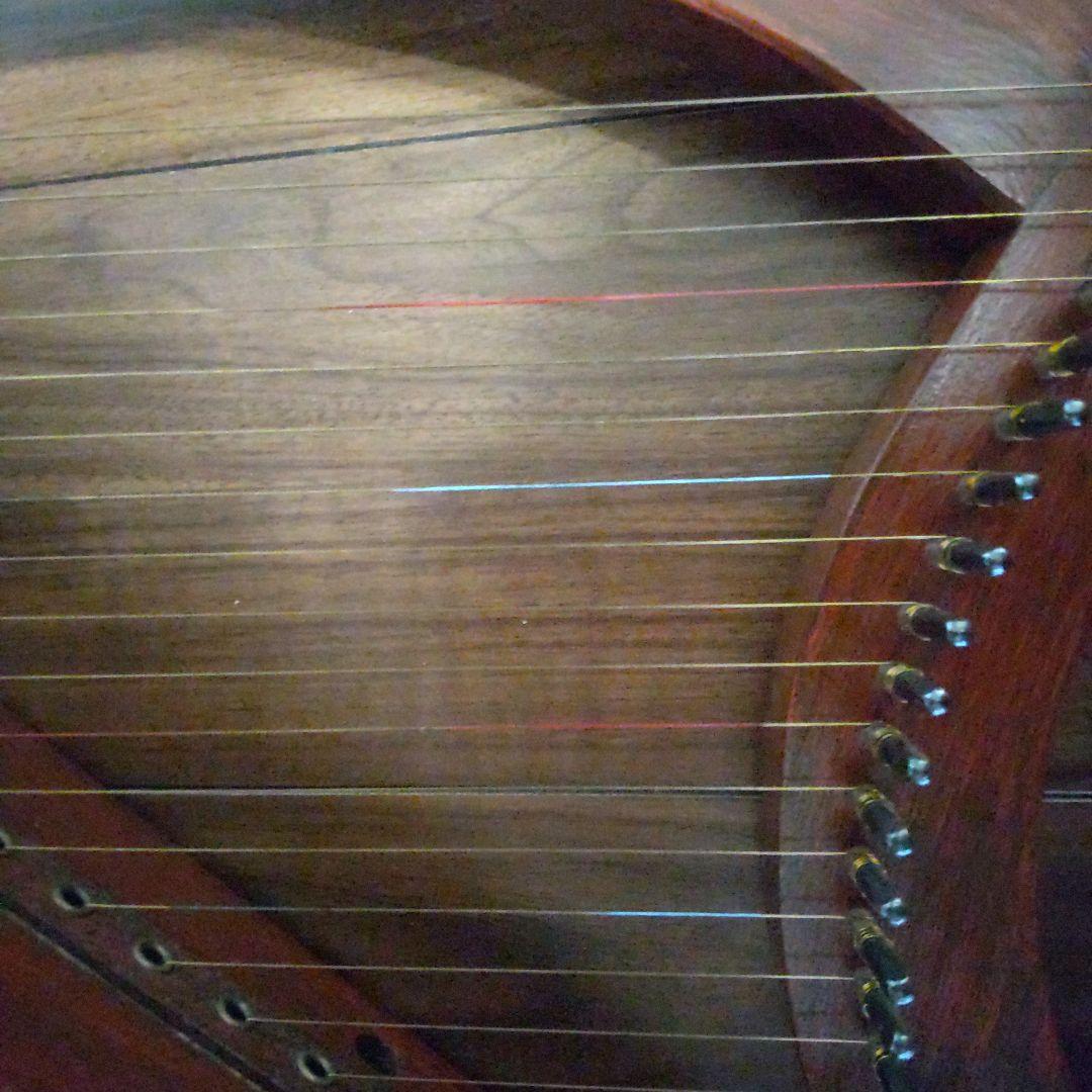 金属弦ハープ　曲集とスペア弦つき