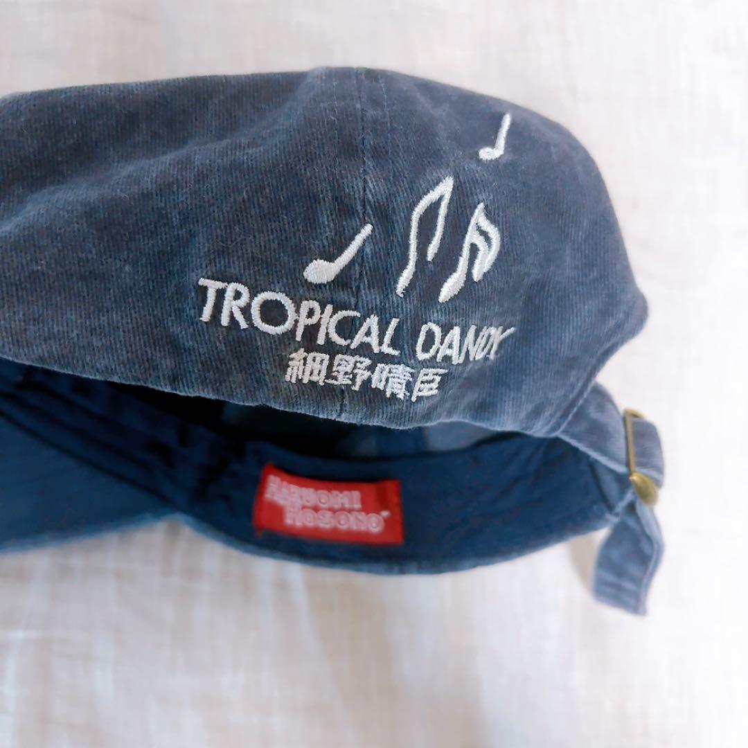 細野晴臣 TROPICAL DANDY CAP トロピカルダンディーキャップ - メルカリ