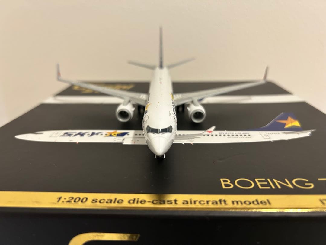 ☆夜間飛行様専用☆ スカイマーク 737-800 （1/200）