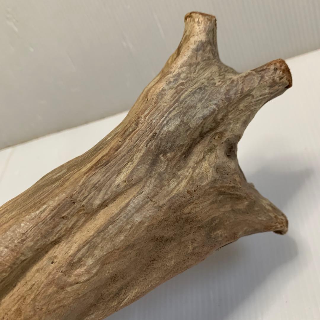 アク抜き済み流木　No.050 .039.031.239.393