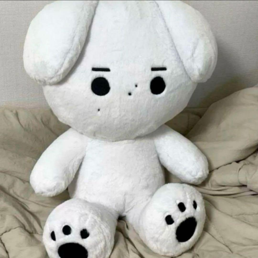 enhpyen ソンフン　ぬいぐるみ　40cm 新品　マスター