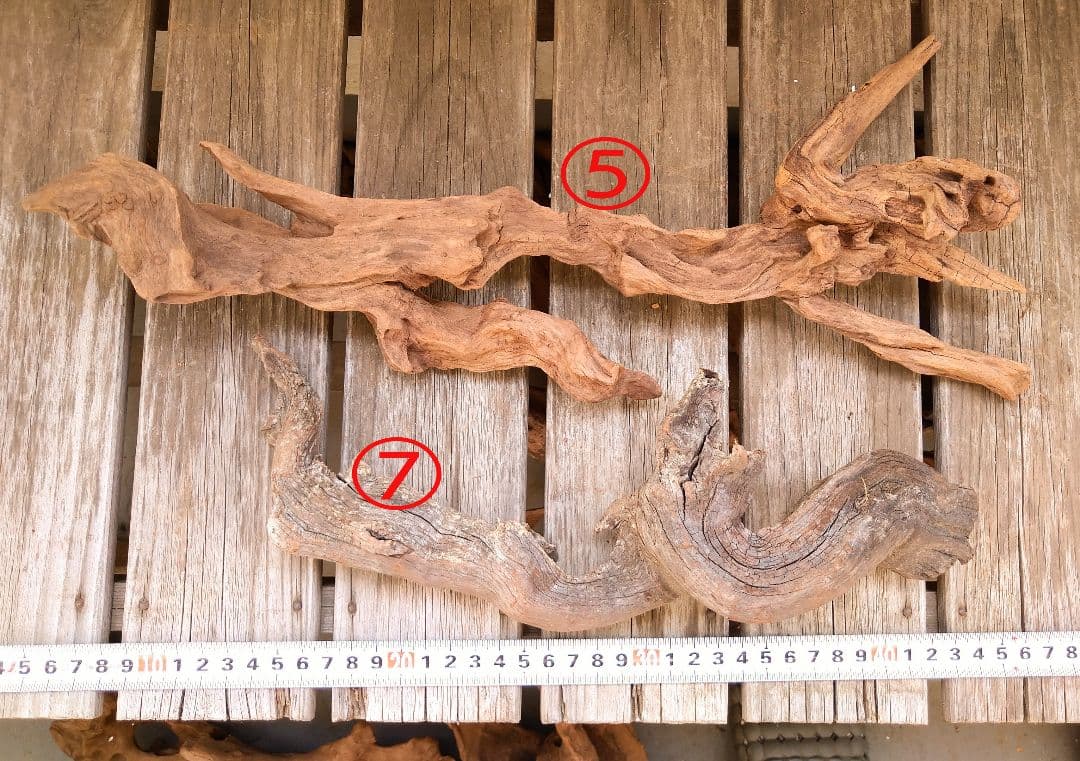 アクアリウム用品 レイアウト 良型 流木 Lサイズ 7本セット - メルカリ