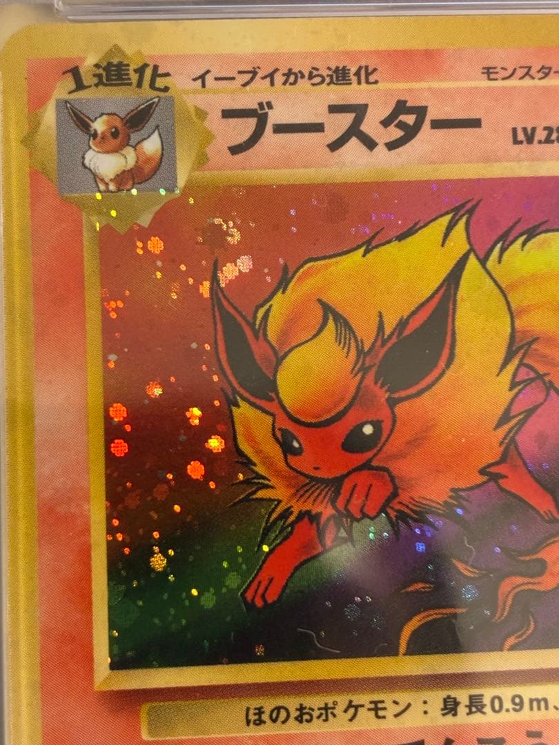 PSA10 ブースター ★ 第2弾拡張パック ポケモンジャングル 旧裏