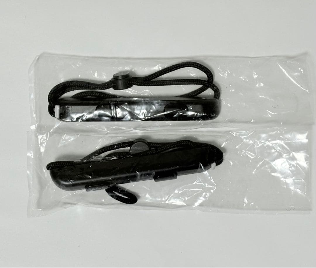 Nintendo Switch 本体（ジョイコン グレー） キャリングケース付き