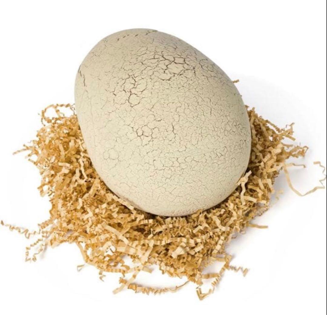 【新品】タカラトミー うまれてウーモ ジュラシック・ワールド T-レックス卵