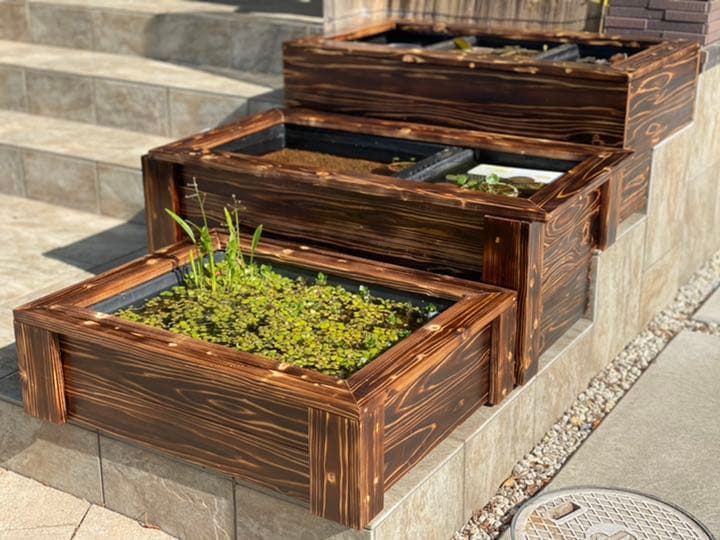 59) トロ舟 40L+木枠+網付き枠 ビオトープ メダカ ショップ ビオトープ