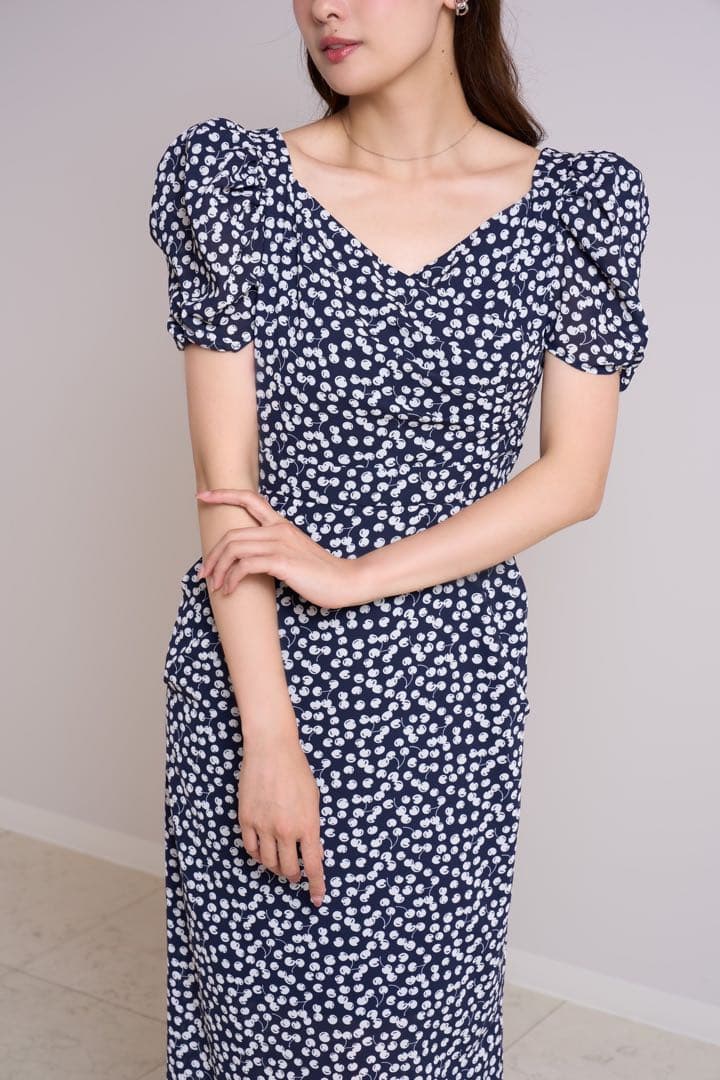 掛軸 躍鯉 田中芳夫