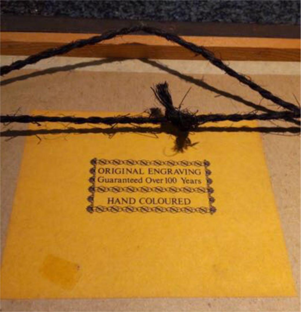 アンティーク　版画　アメリカ