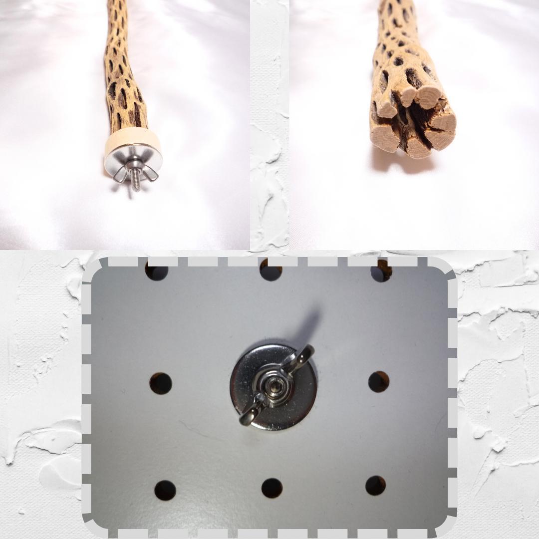 鳥用品 止まり木 カクタス スケルトン パーチ 細長め No.685 - メルカリ