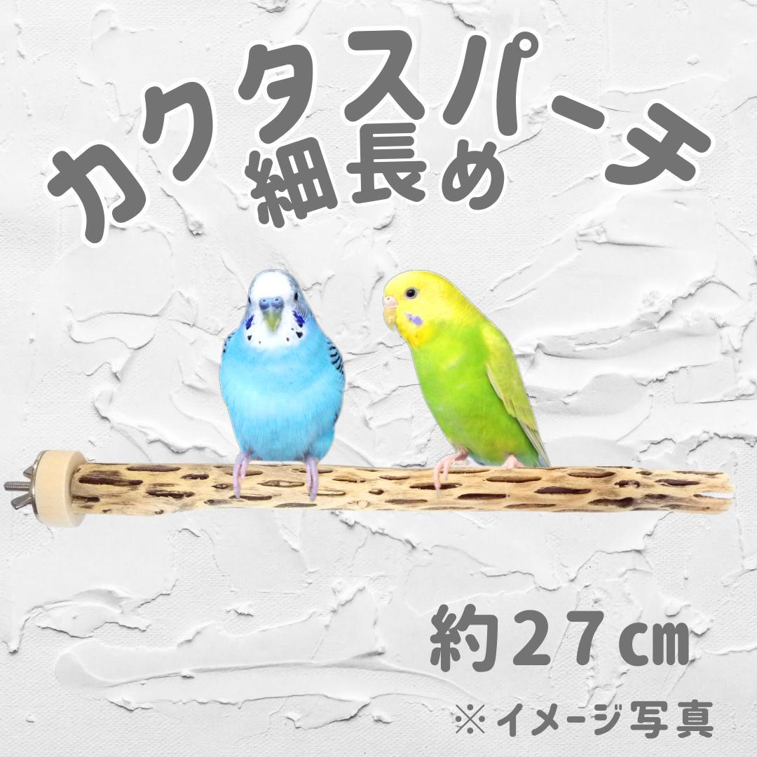 鳥用品 止まり木 カクタス スケルトン パーチ 細長め No.685 - メルカリ