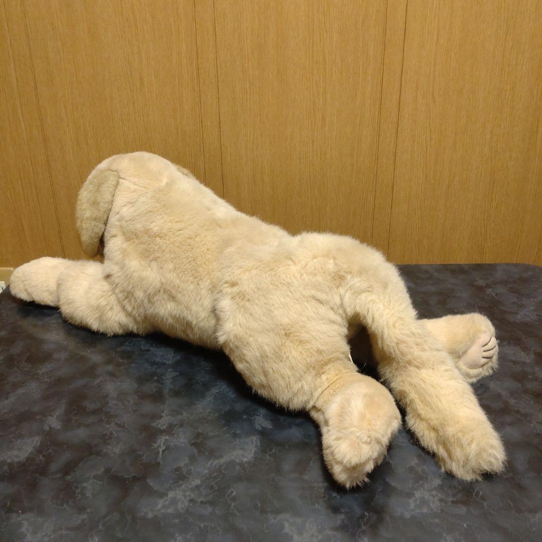 吉徳　ゴールデンレトリバー