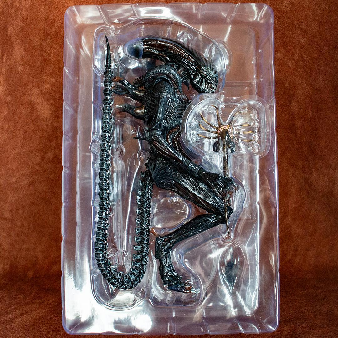 NECA　スコーチド ゼノモーフ　エイリアン ロムルス