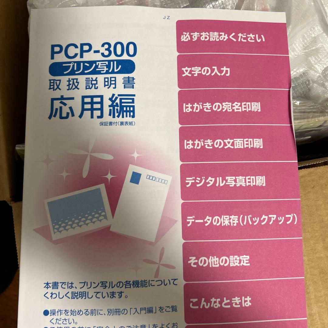 CASIO PCP-300