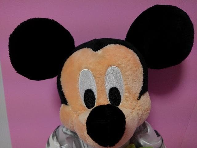 レア☆ミッキーマウス&ミニーマウス☆ウェディングぬいぐるみ☆新品未使用ケース付き