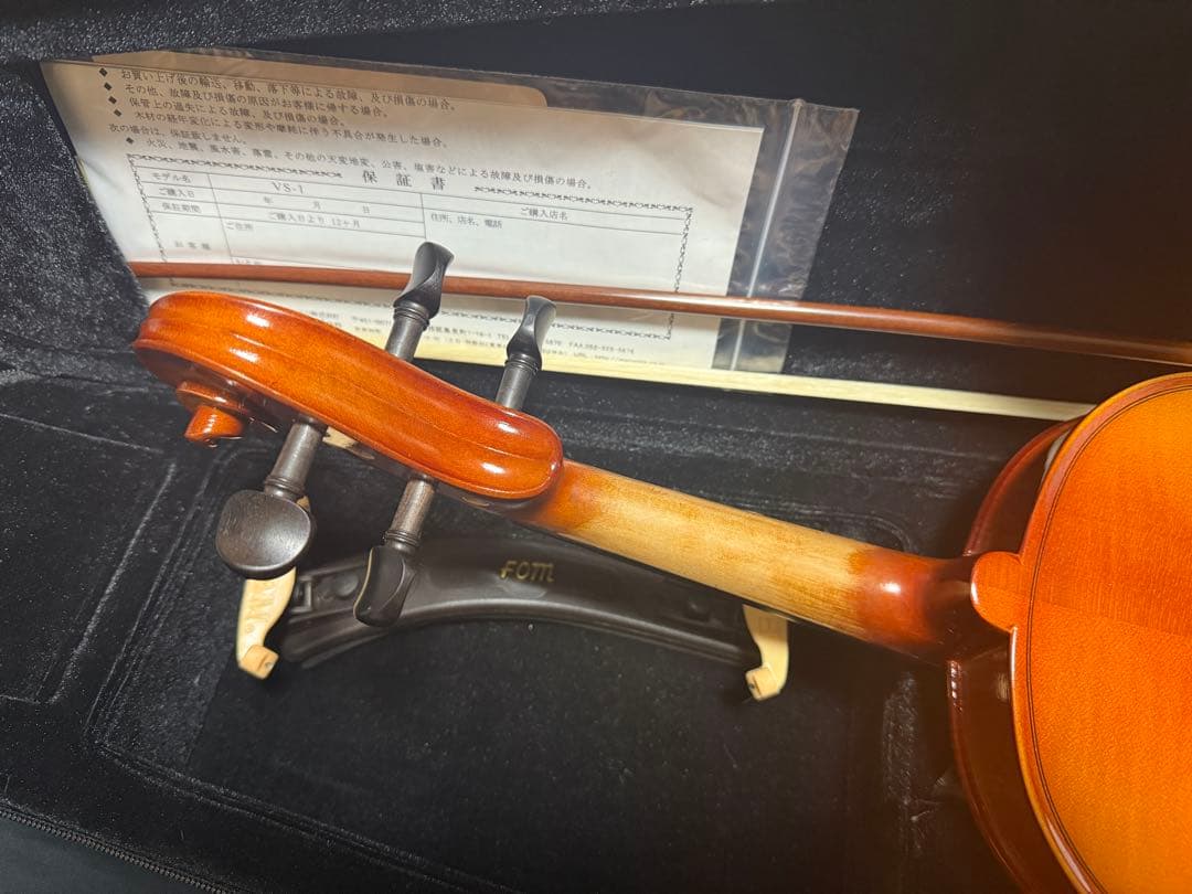 【極美品】バイオリン カルロ・ジョルダーノ VS-1 4/4