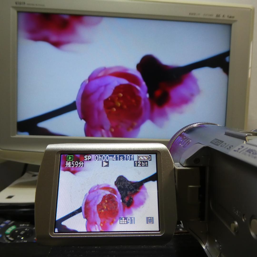 動作良好 パナソニック NV-GS250 MiniDVビデオDVDダビングに最適