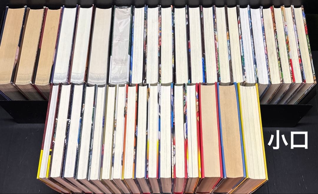 ダレン・シャン バーティミアス ドラゴンライダー デモナータ 全37冊