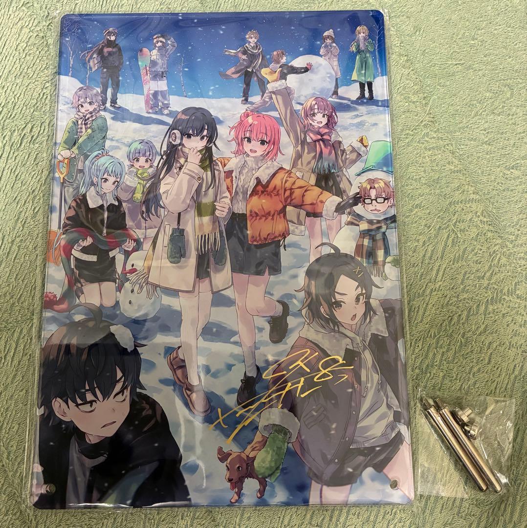 直筆サイン入り c107 ぽんかん⑧ vividcolor アクリルボードA