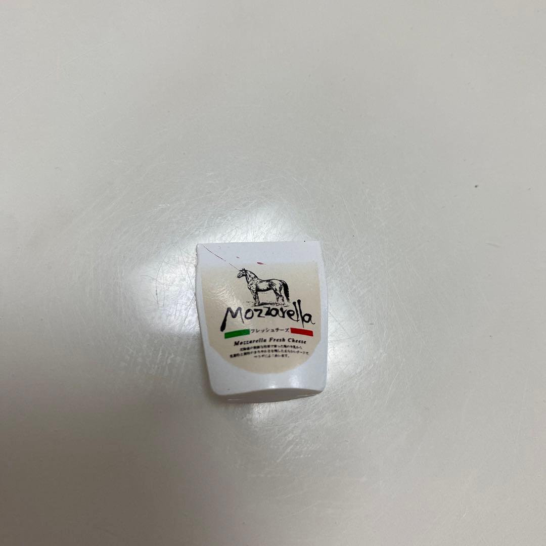 メガハウス　リーメント 輸入マーケット