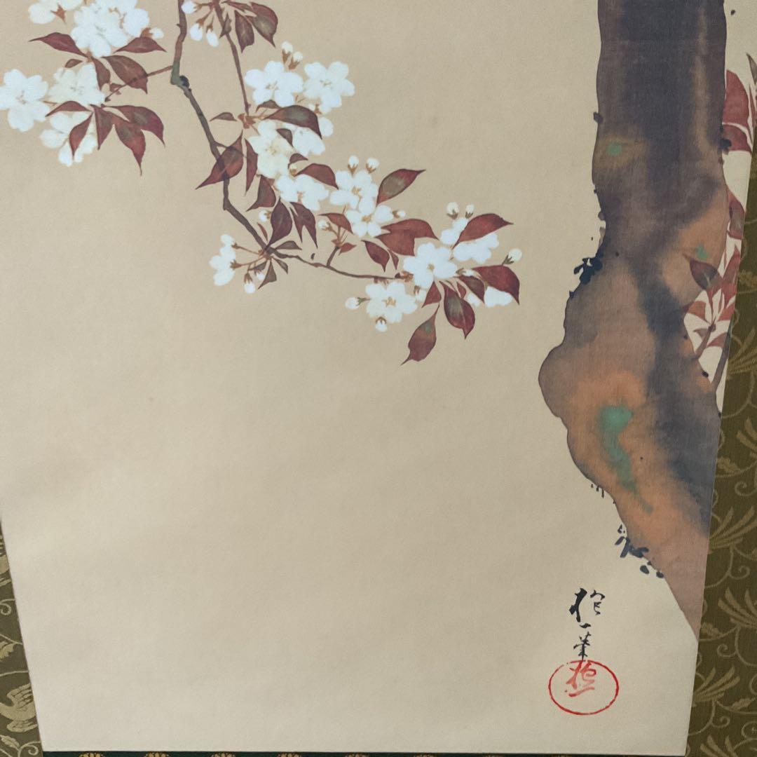 酒井抱一筆 桜花雉子図 復刻版 1500部内741番 桐箱付