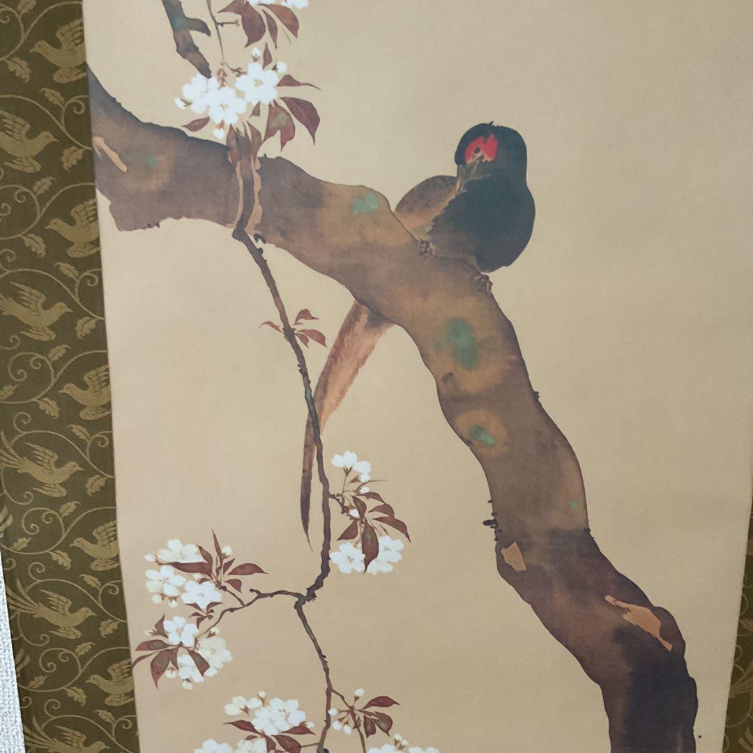 酒井抱一筆 桜花雉子図 復刻版 1500部内741番 桐箱付