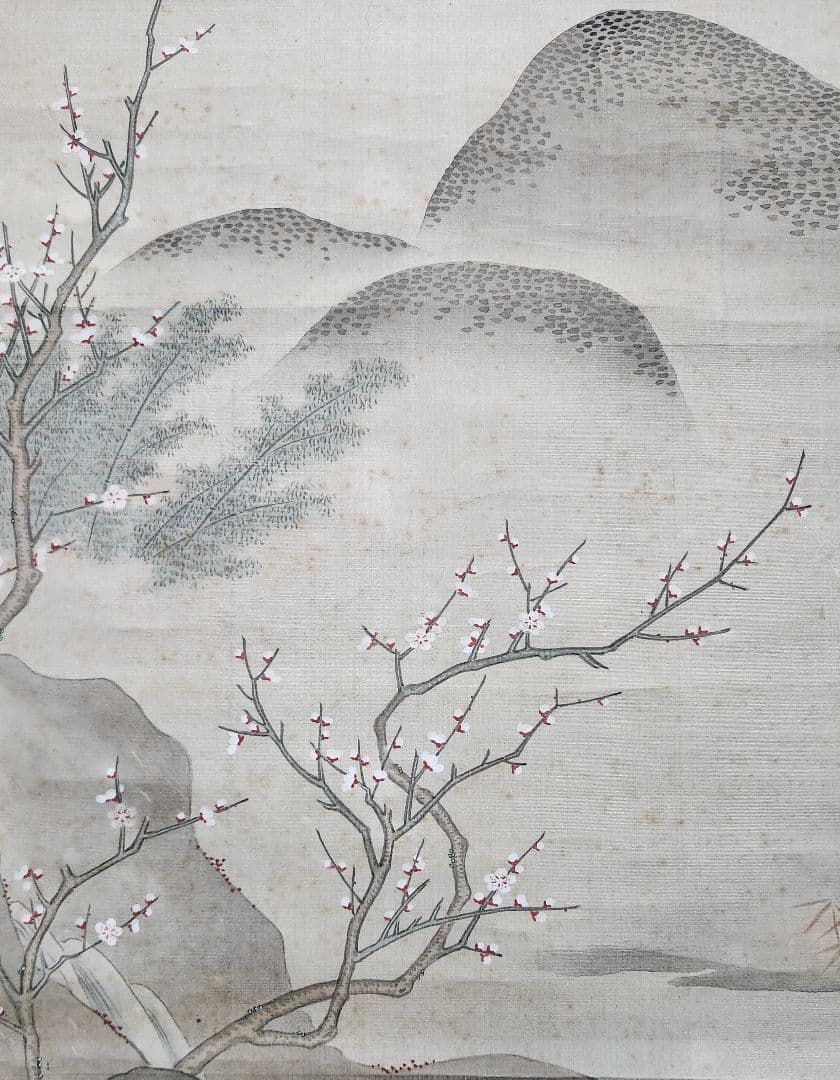 【長寿郡亀図】土佐光芳 2605　掛け軸　百亀　肉筆