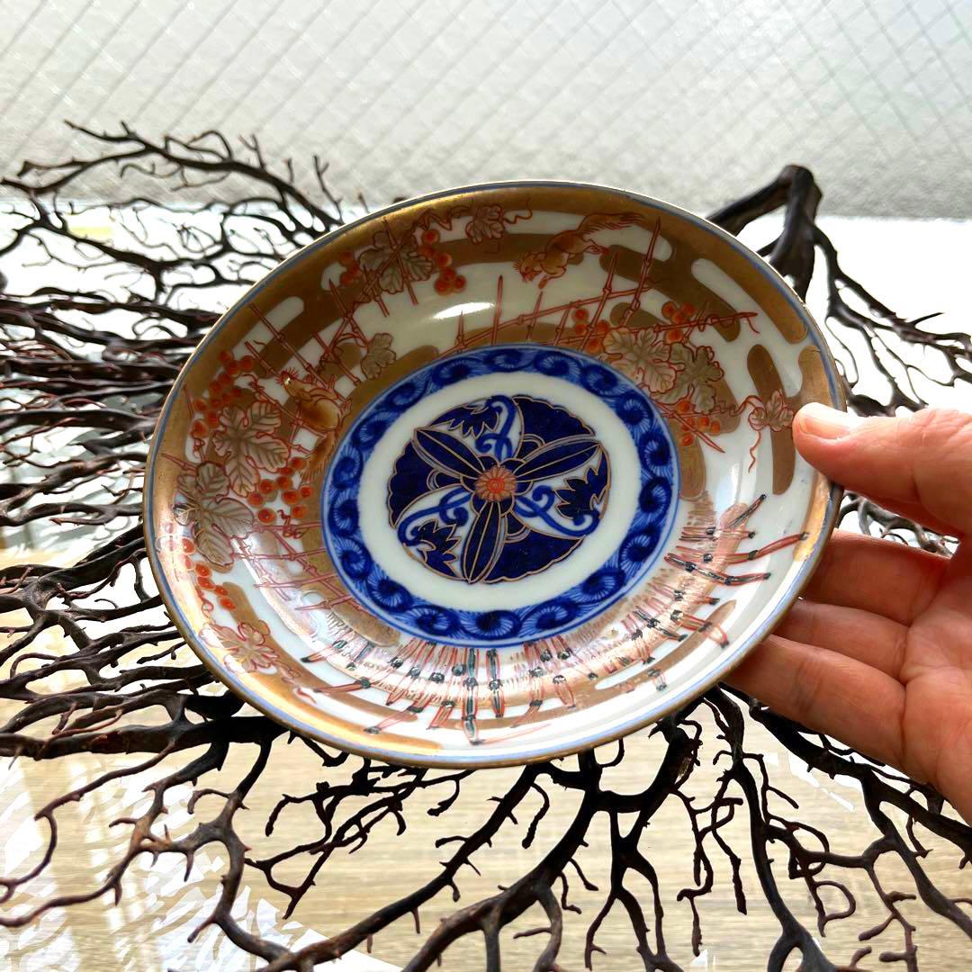 骨董 古伊万里 金彩色絵 希少図案 栗鼠 木賊 山葡萄 膾皿 中皿 1客