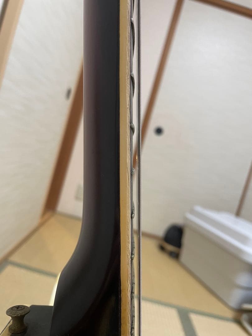 セミアコースティックギター