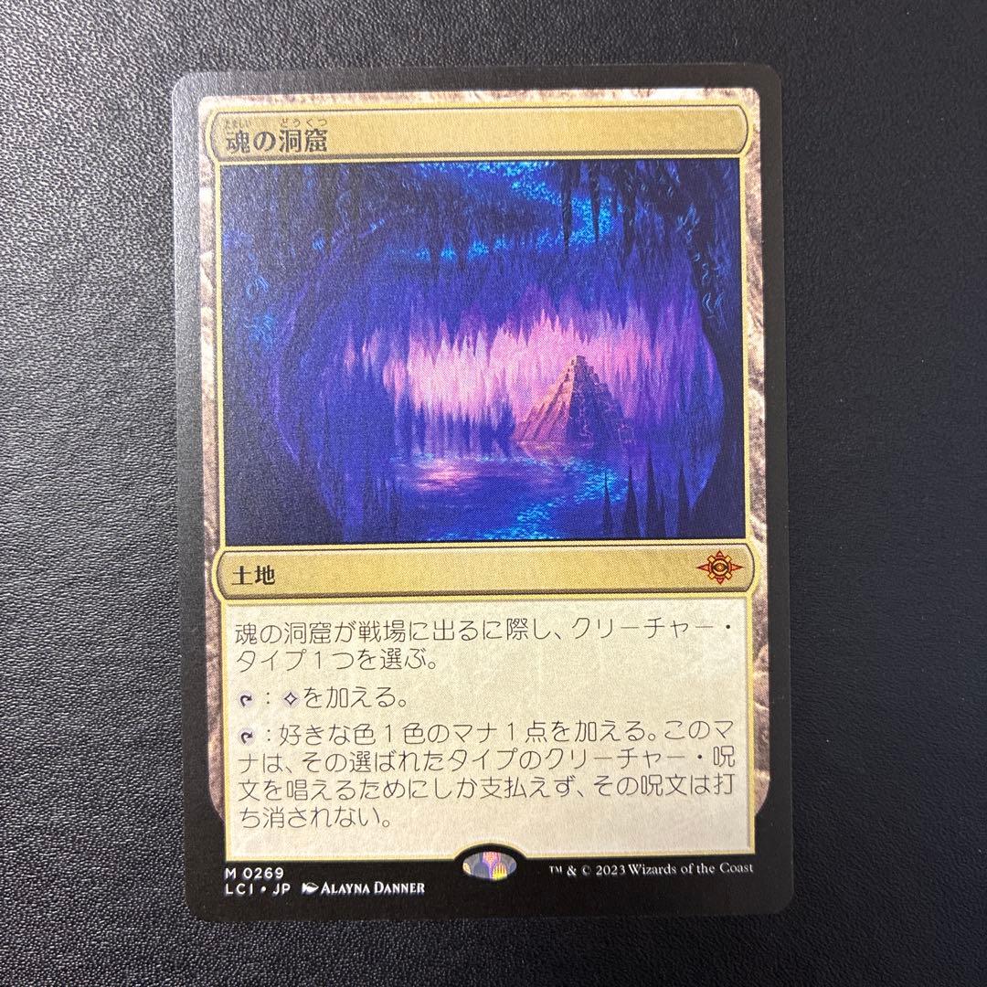 MTG 【日本語】 魂の洞窟 魂の洞窟×1枚 MTG 日本語版