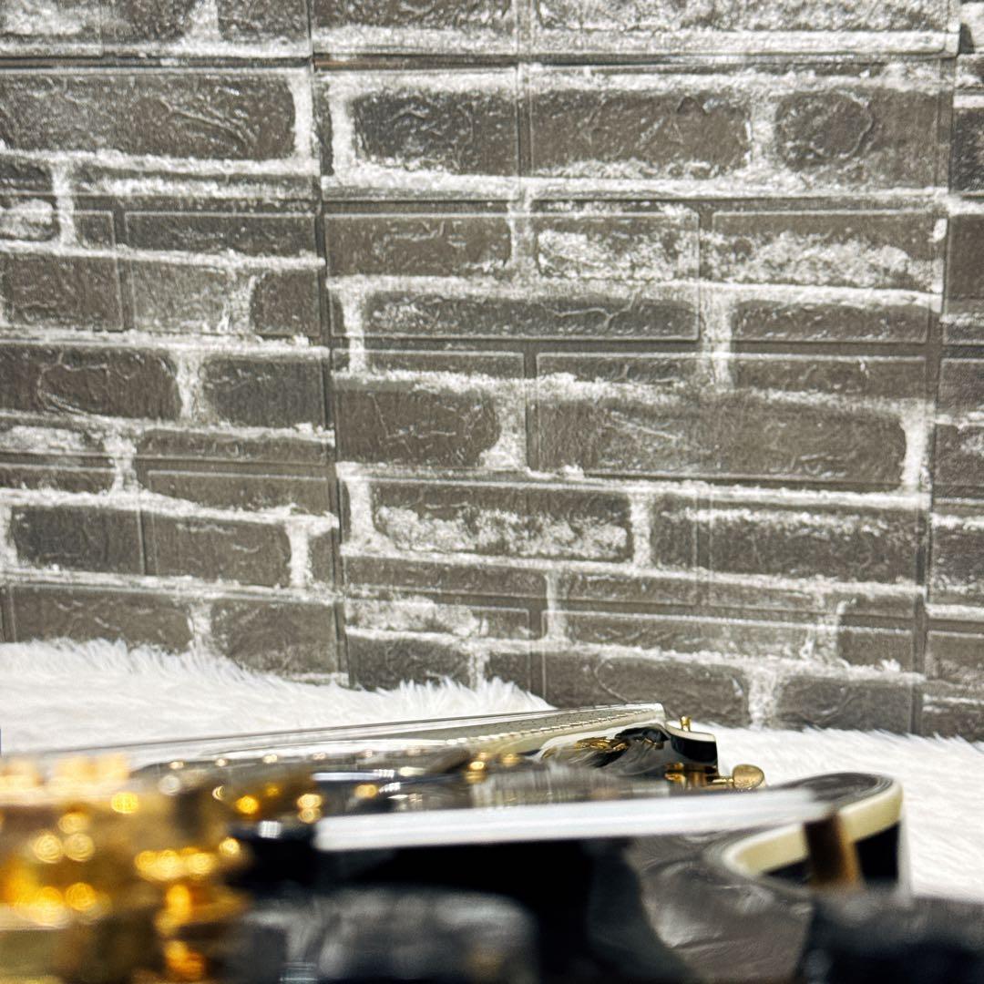 GrassRoots/グラスルーツ レスポールカスタム ブラック ソフトケース付