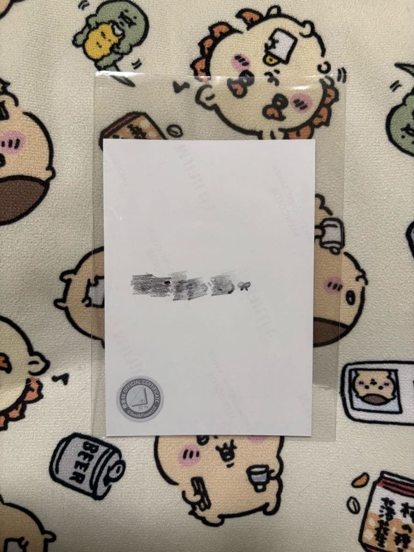 山川宇衣 サンタ衣装 生写真 サイン