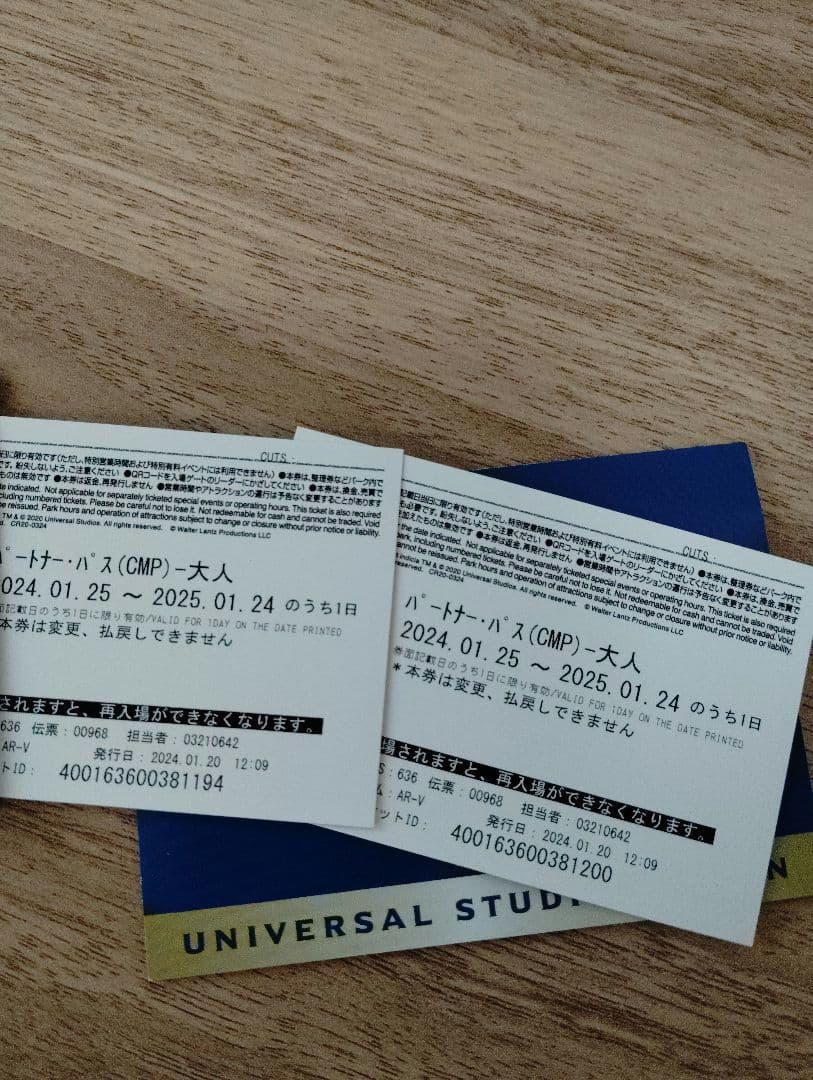 ユニバーサルスタジオジャパン USJ 大人入場券2名分