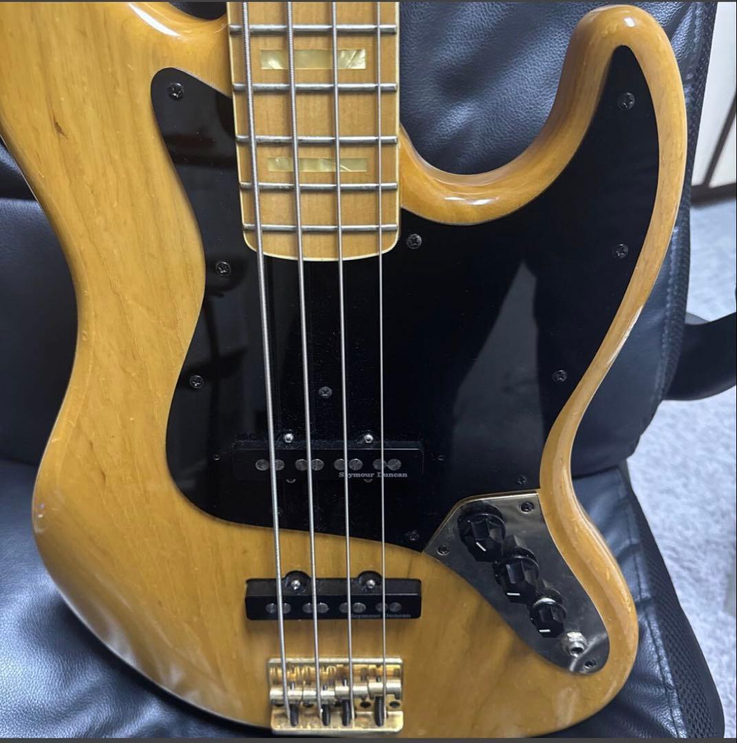 Seymour Duncan DJ-110M