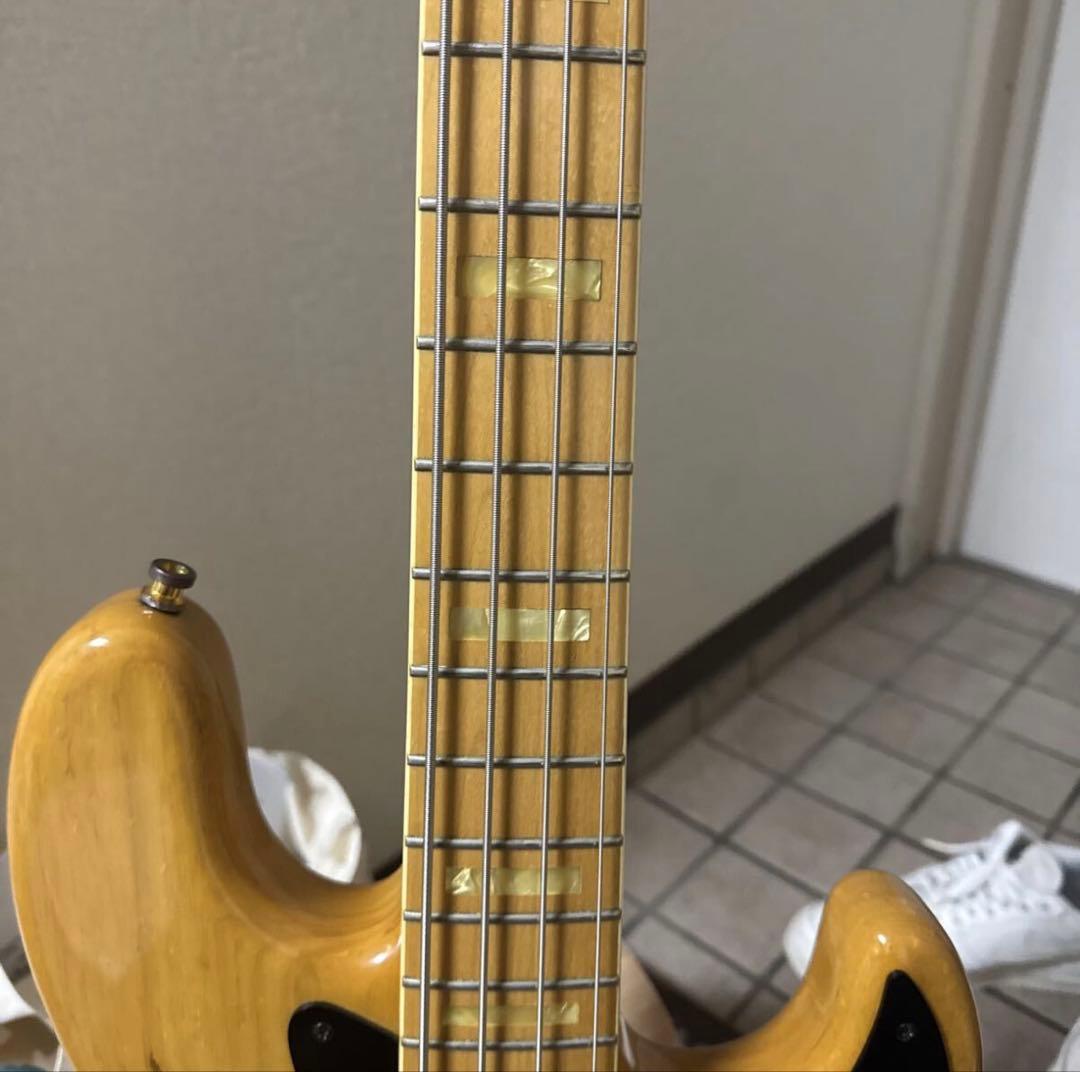 Seymour Duncan DJ-110M