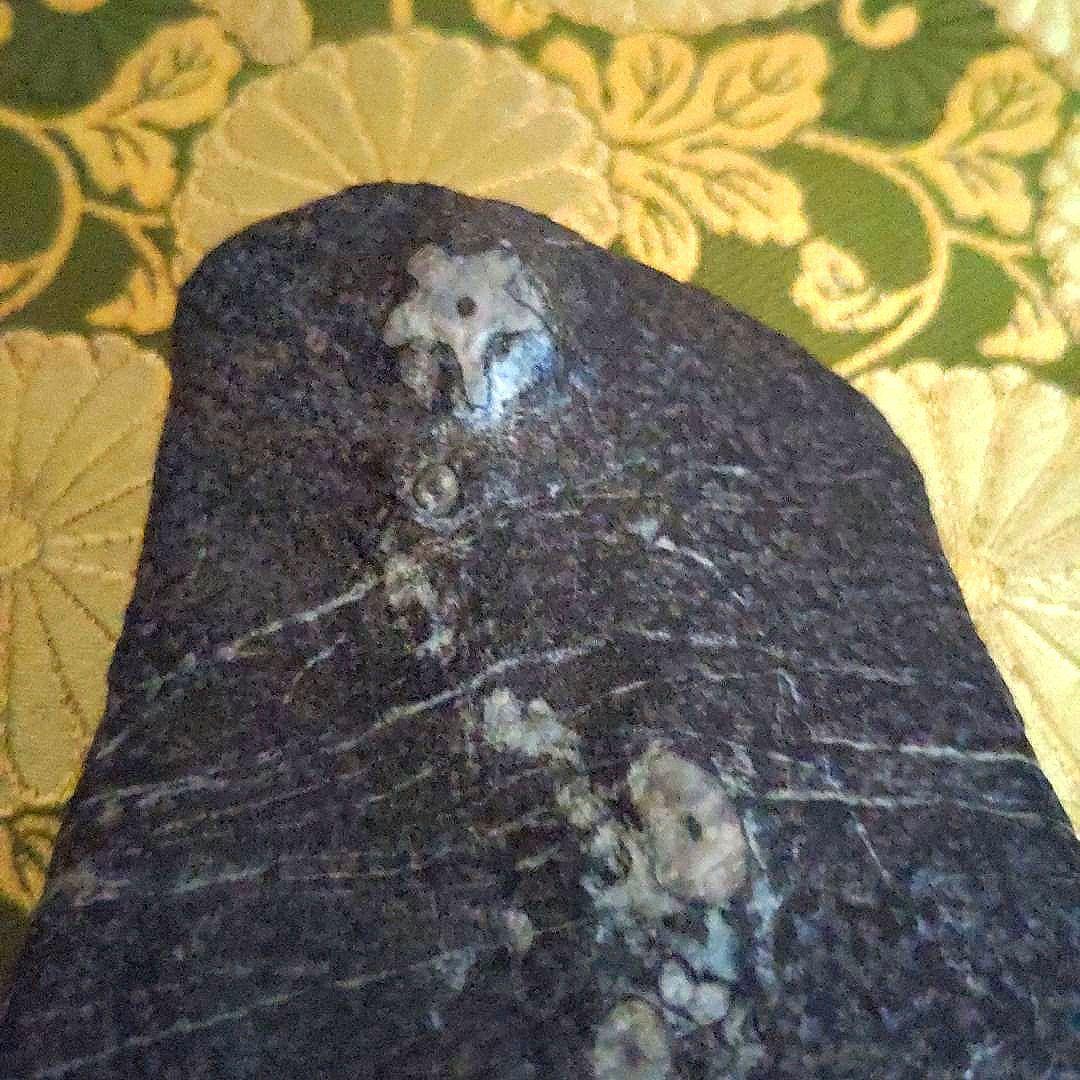 最終特別価格】門司梅花石台座付水石盆石