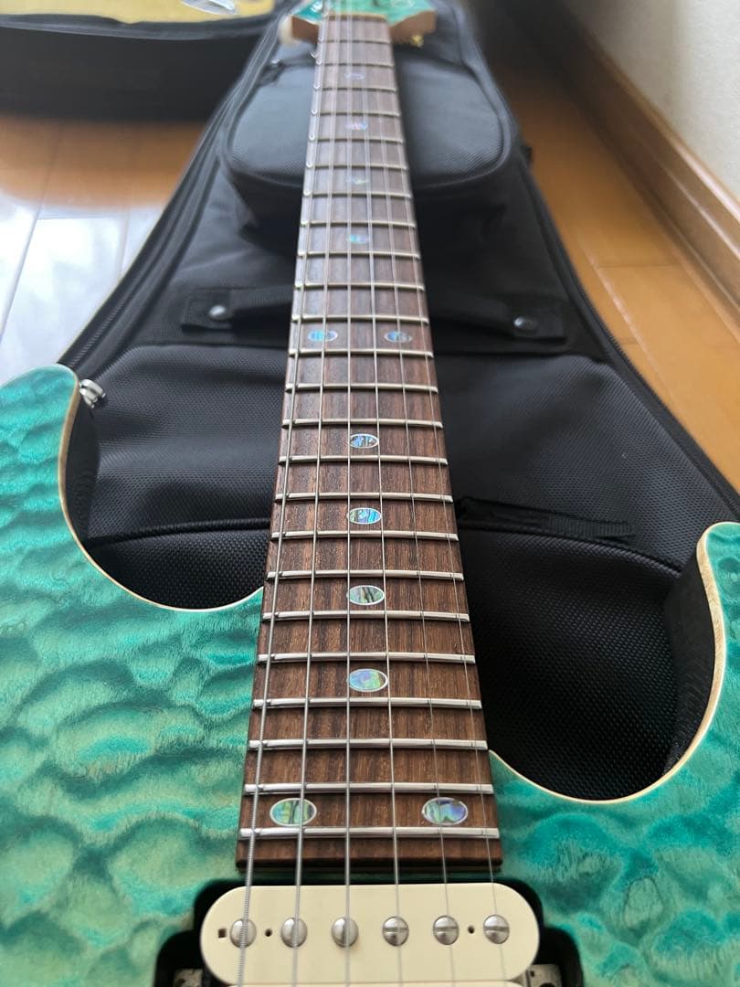 freedomcustomguitarresearchハイドラ