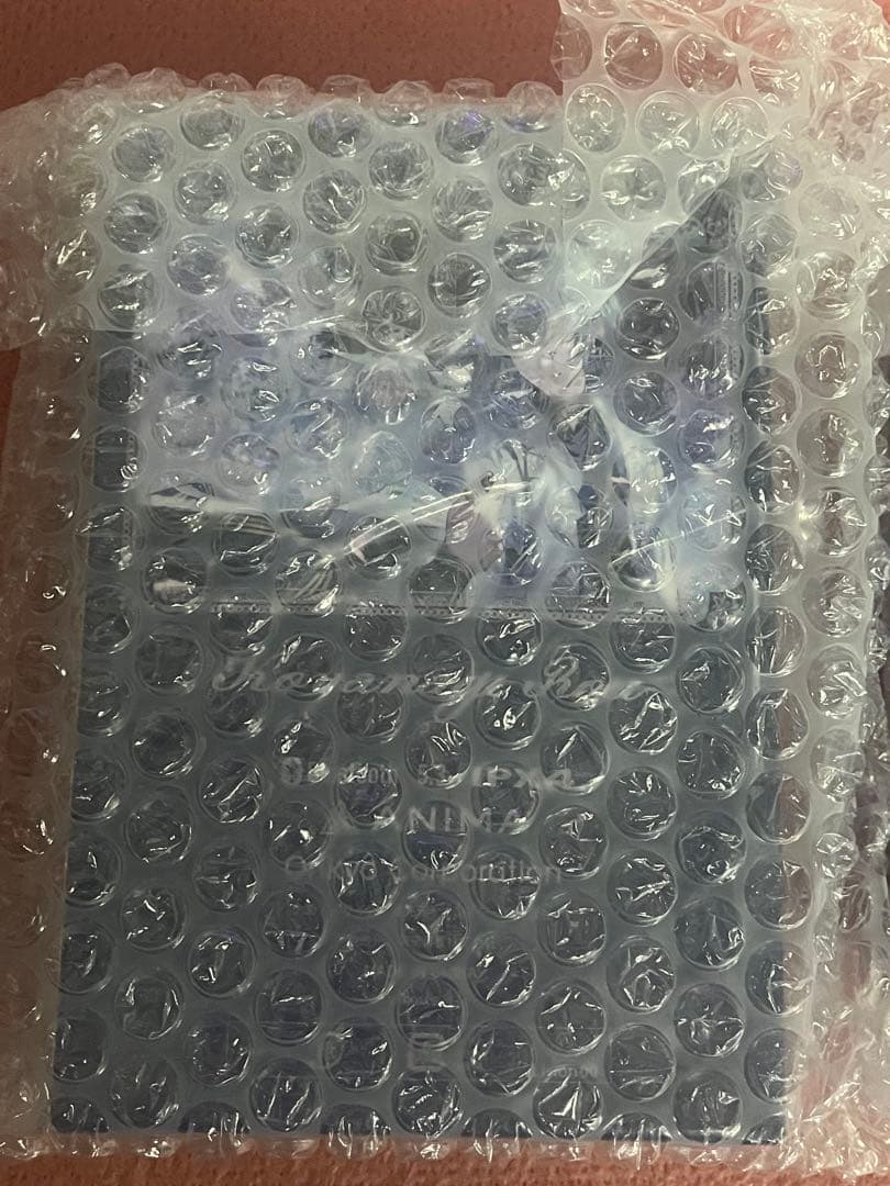 小柳ロウ ONKYO にじさんじ オンキヨー ワイヤレス イヤホン 充電器