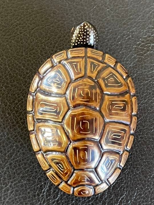 玄舟作　亀　香合　箱付　包布あり