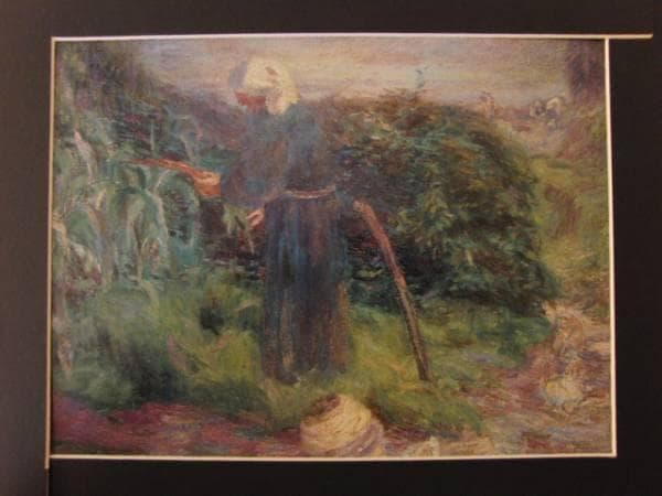 地球 絶滅昆虫記の挿絵四本充氏の原画③