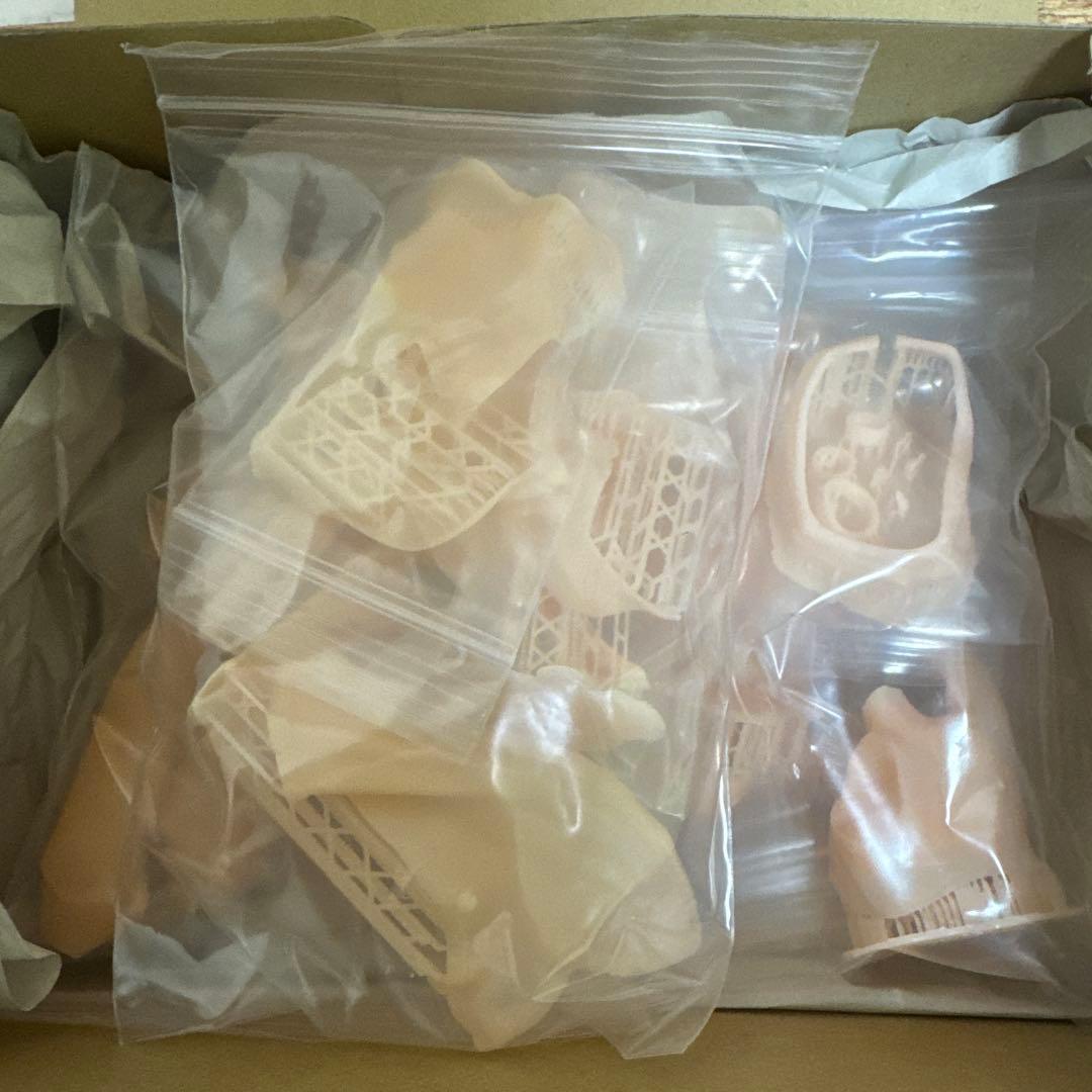 ナディア セミリアル 1/6スケール ガレージキット オンラ