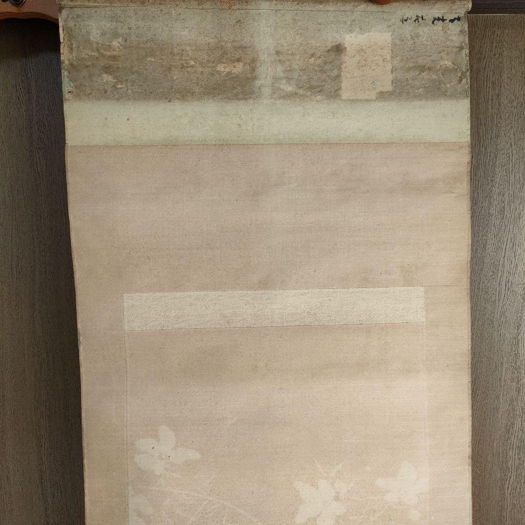 週末特価】掛け軸 花 鳥 日本画 花鳥 絵の部分綺麗な状態です 印有り