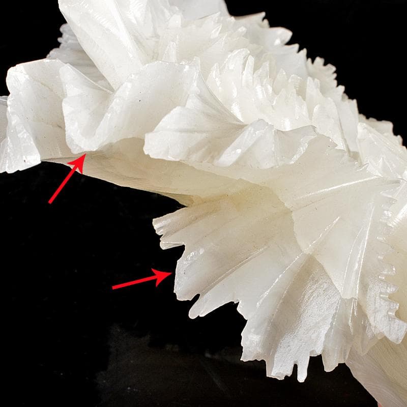 中国 玉石白玉彫刻 白菜 置物 V R5727