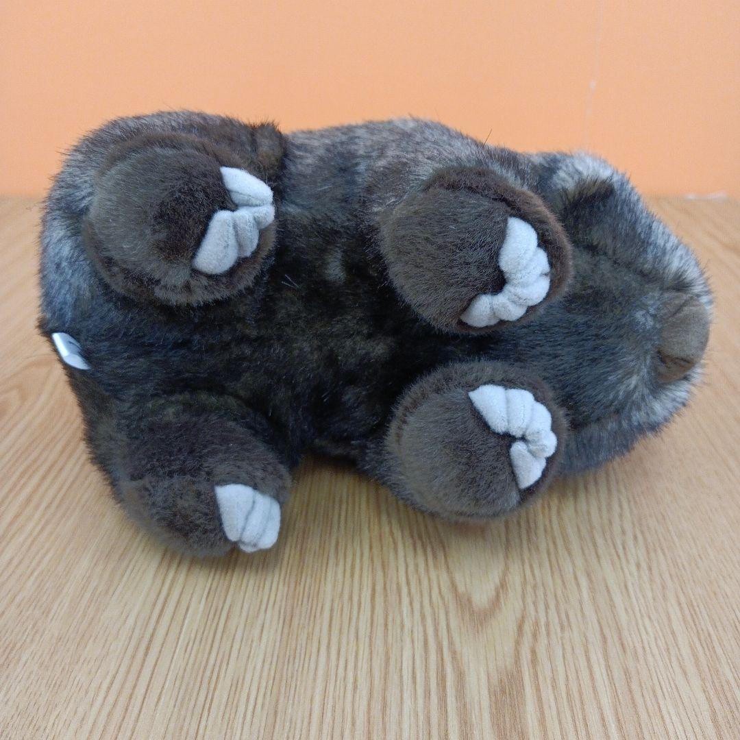 茶臼山動物園 コモンウォンバット ウォレス モモコ ぬいぐるみ